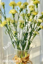 Carnation Yellow Flower - www.nurturingelegance.com